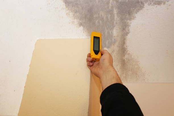 Best Dehumidification Services  in Monroe, GA