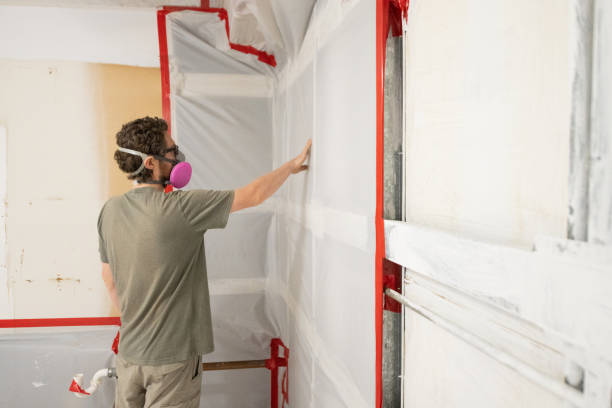 Best Asbestos and Lead Testing During Mold Inspection  in Monroe, GA