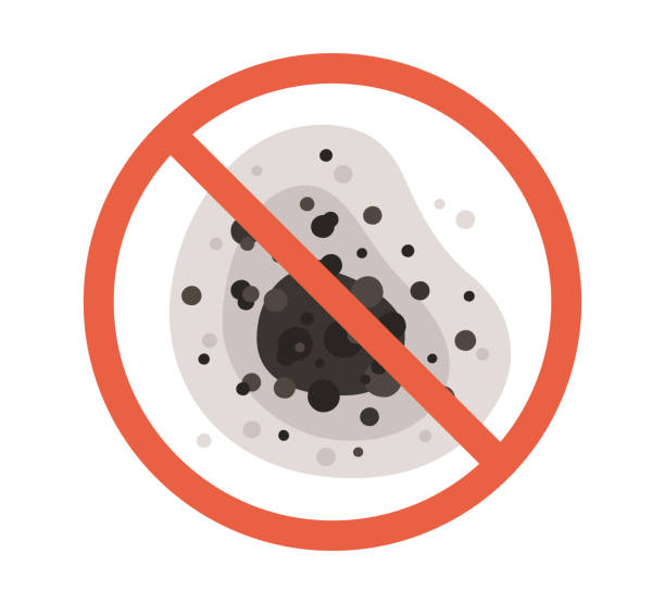  Monroe, GA Mold Removal Pros