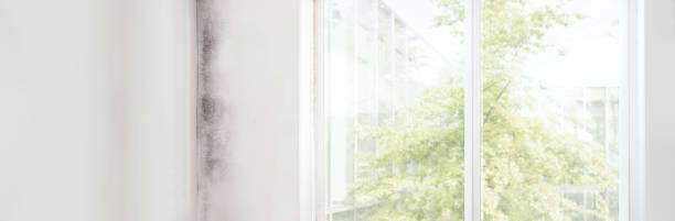 Best Forensic Mold Investigation  in Monroe, GA